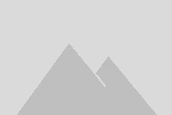 Talking solar, energy storage, and inverter trends